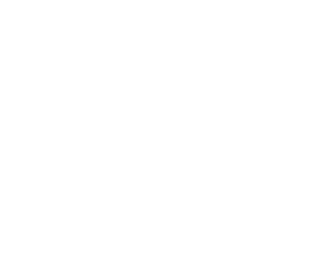 Nik Cases